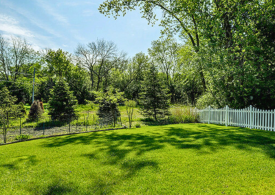 Backyard View